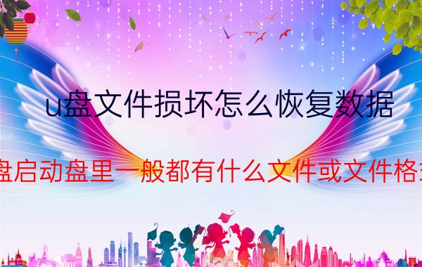 u盘文件损坏怎么恢复数据 u盘启动盘里一般都有什么文件或文件格式？